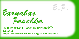 barnabas paschka business card